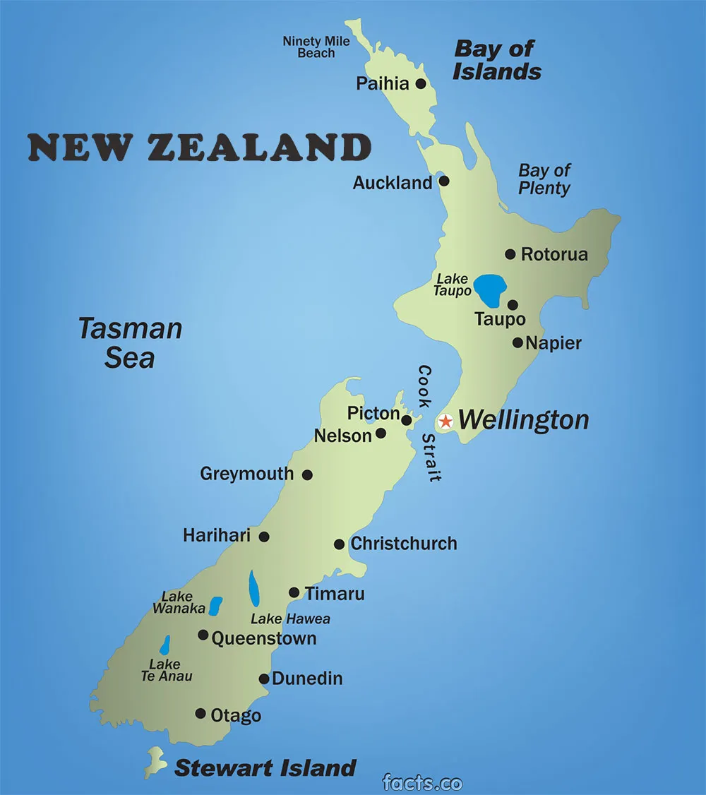 study mbbs in  new zealand